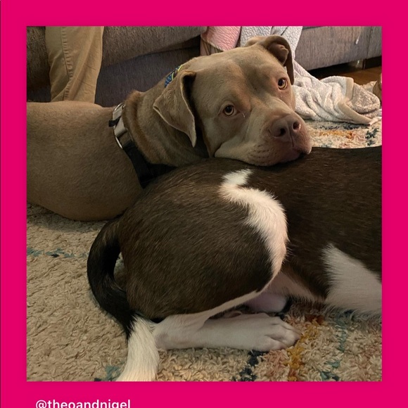 Meet your Posher, Marla - Picture 2 of 11